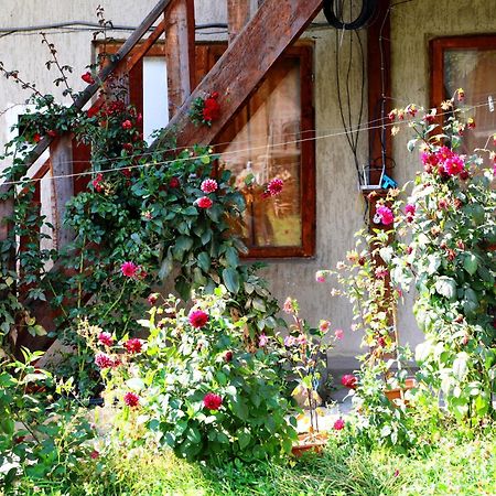 Nadia Guesthouse Местія Екстер'єр фото