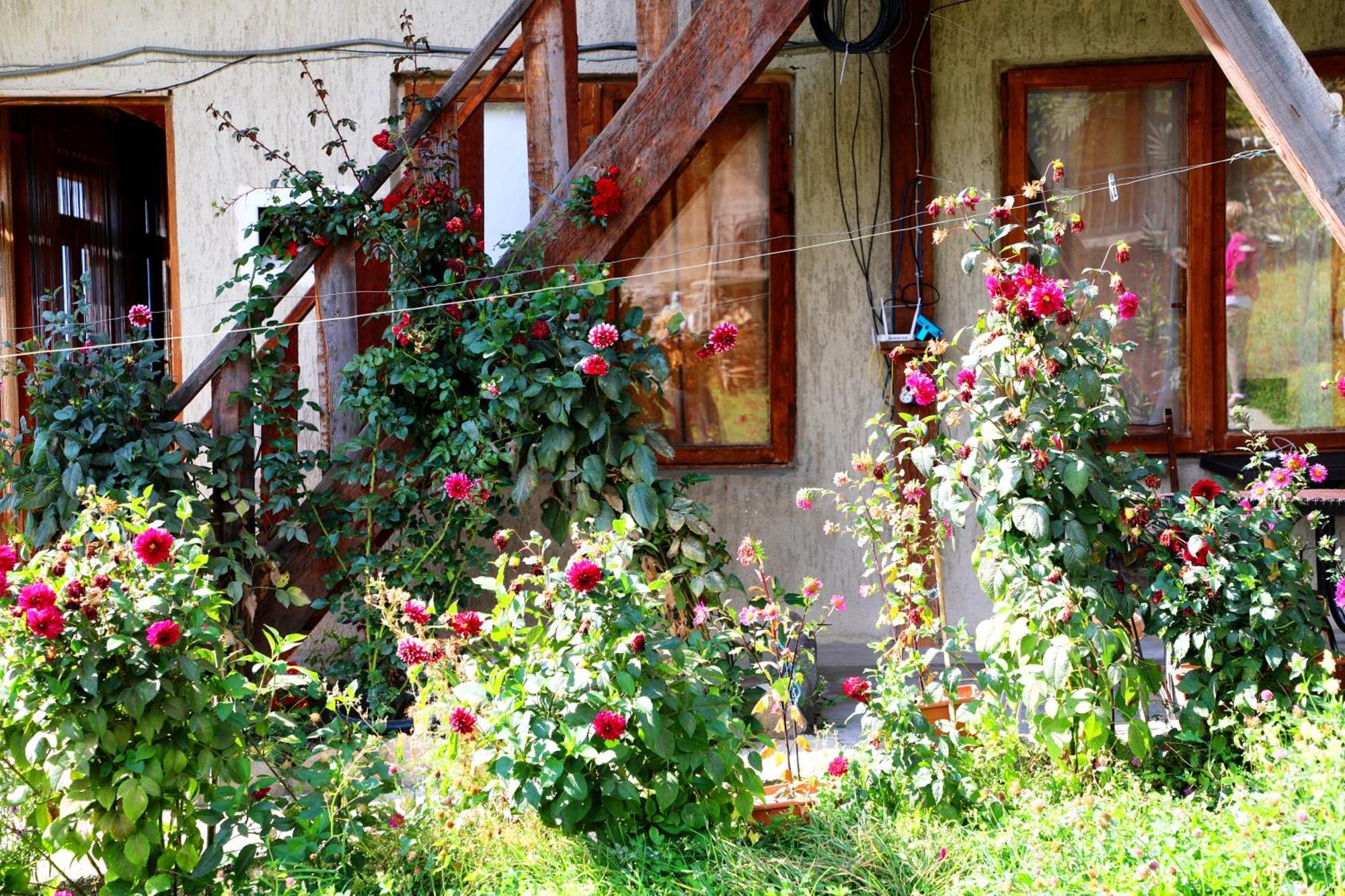 Nadia Guesthouse Местія Екстер'єр фото